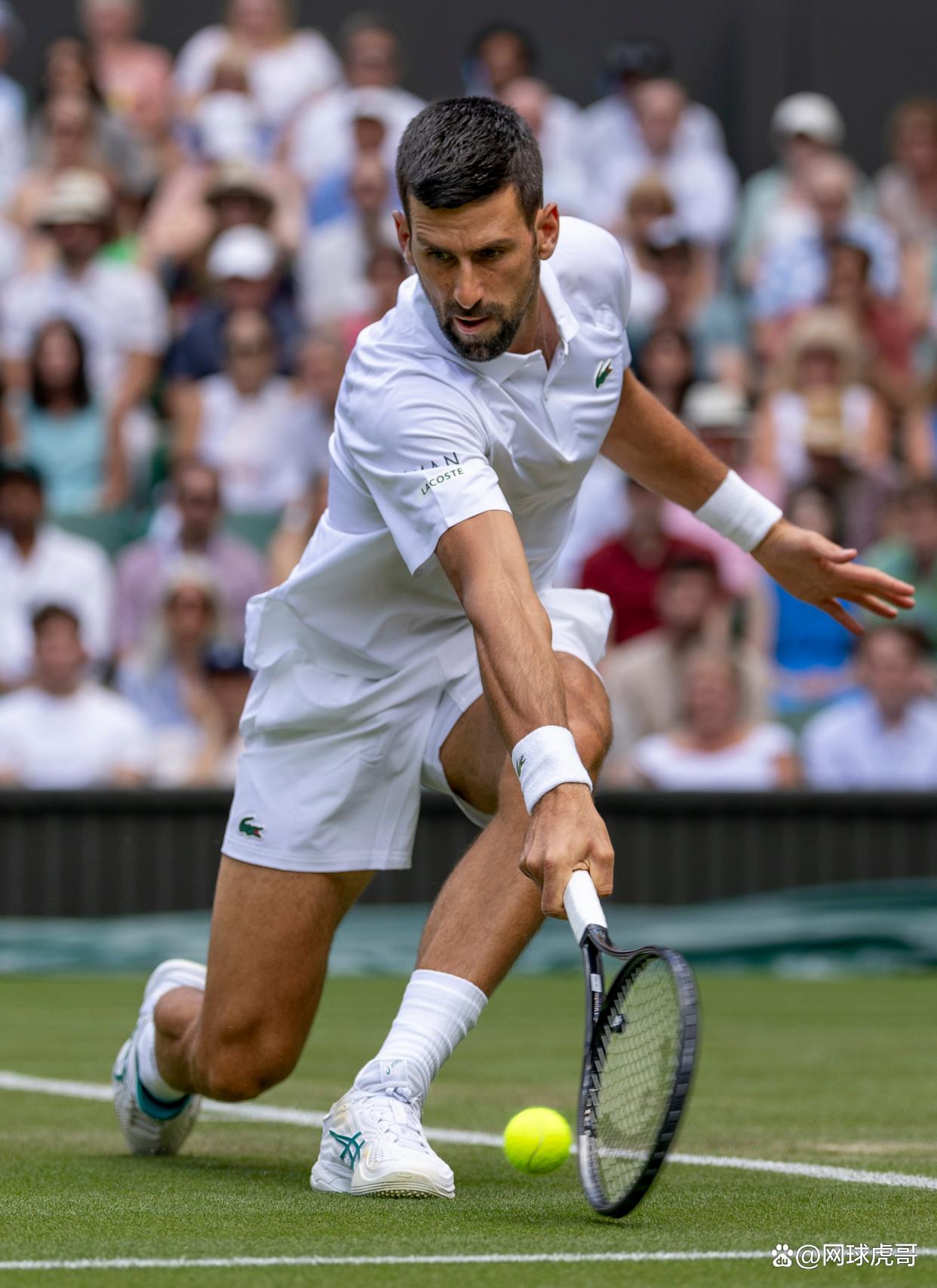 黑白直播nba在线观看-包含意大利网球队横扫德国网球队，德约科维奇爆发神勇的词条