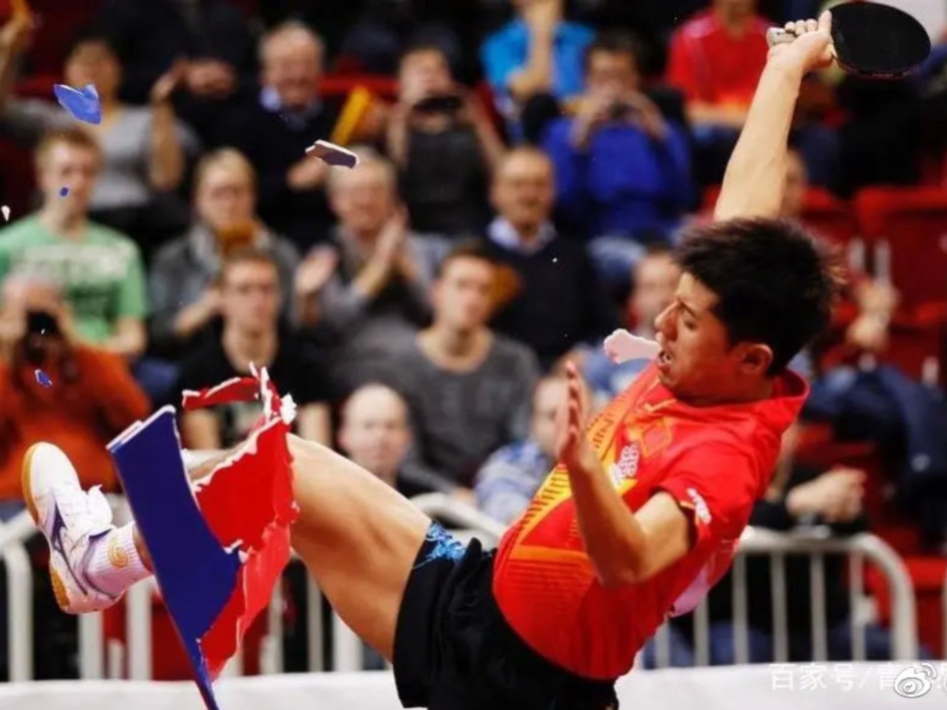 黑白直播-中国乒乓球队血洗比利时乒乓球队，张继科关键制胜的简单介绍