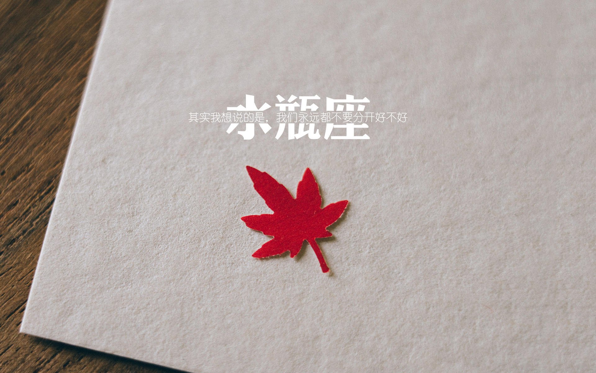 帕尔默梅开二度点燃全场,克罗地亚2-1险胜贝蒂斯守住晋级希望