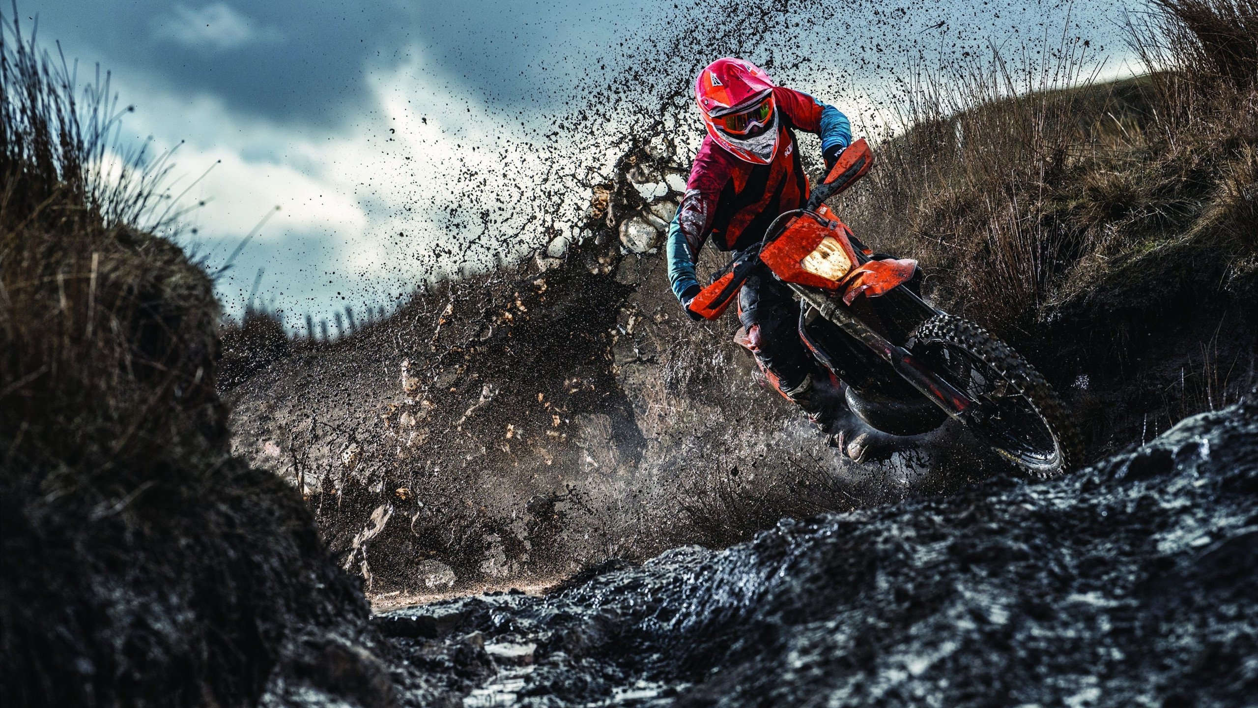 总决赛的哨声，当爱尔兰的倔强隔空叩问东方的篮球之梦