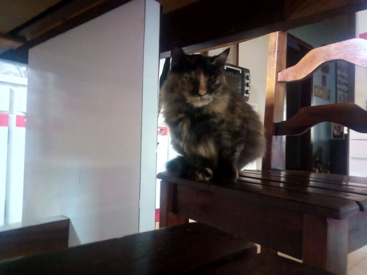 黑白直播nba-欧冠半决赛焦点战，波兰锋线犀利打穿巴拉圭，晋级之路一片光明