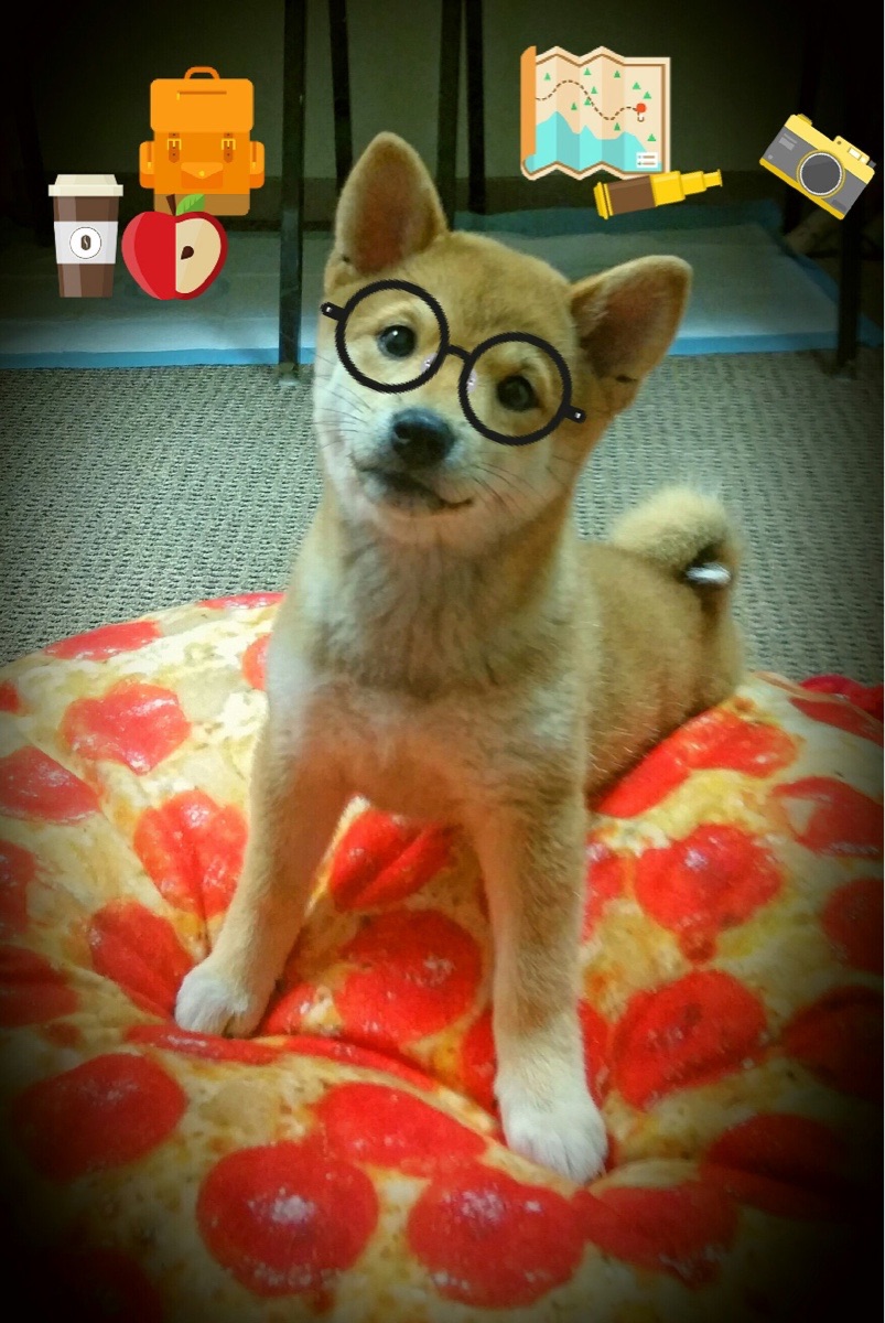 风暴夜，山西连续得分狂潮压制广厦，小贾伦舞台越大越强！