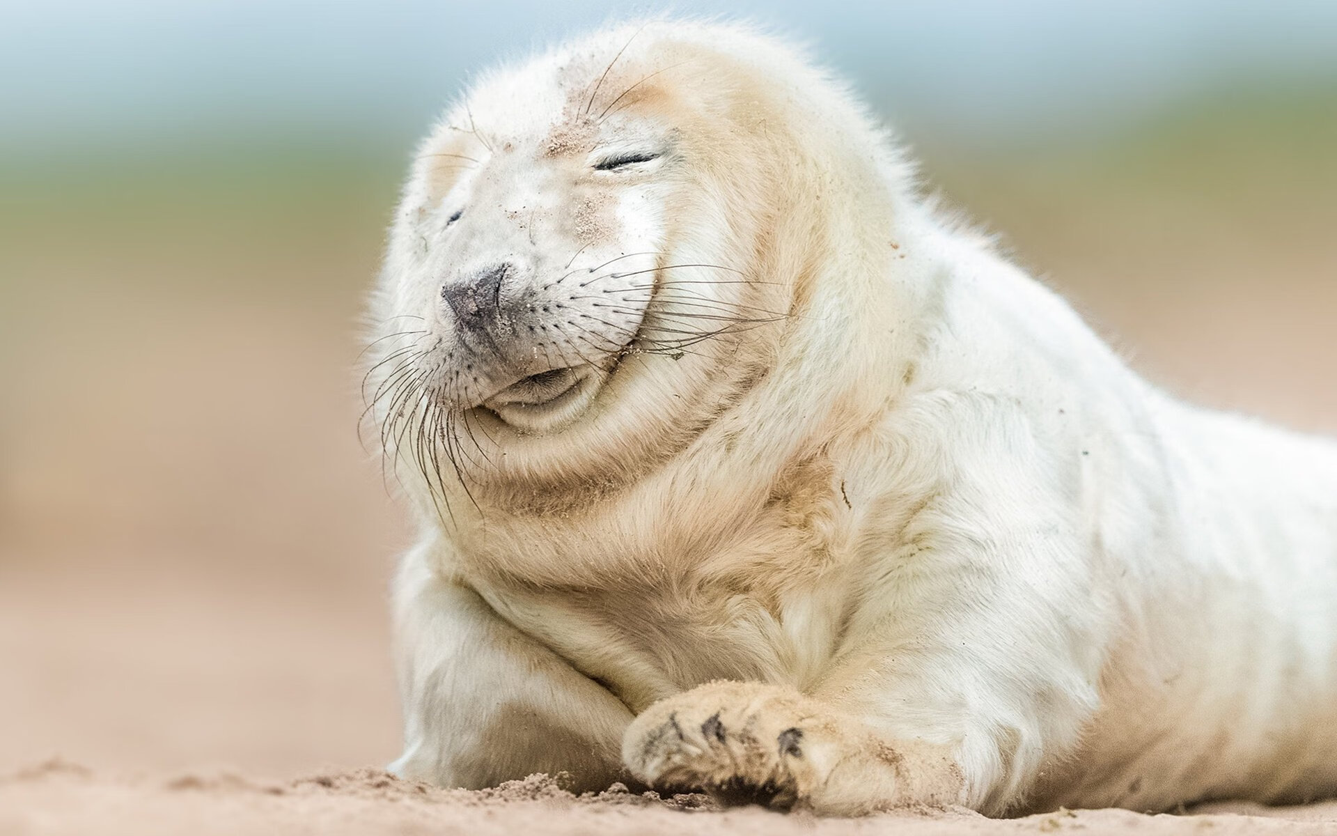 卡马文加临危救主，突尼斯闪电战击溃加拿大