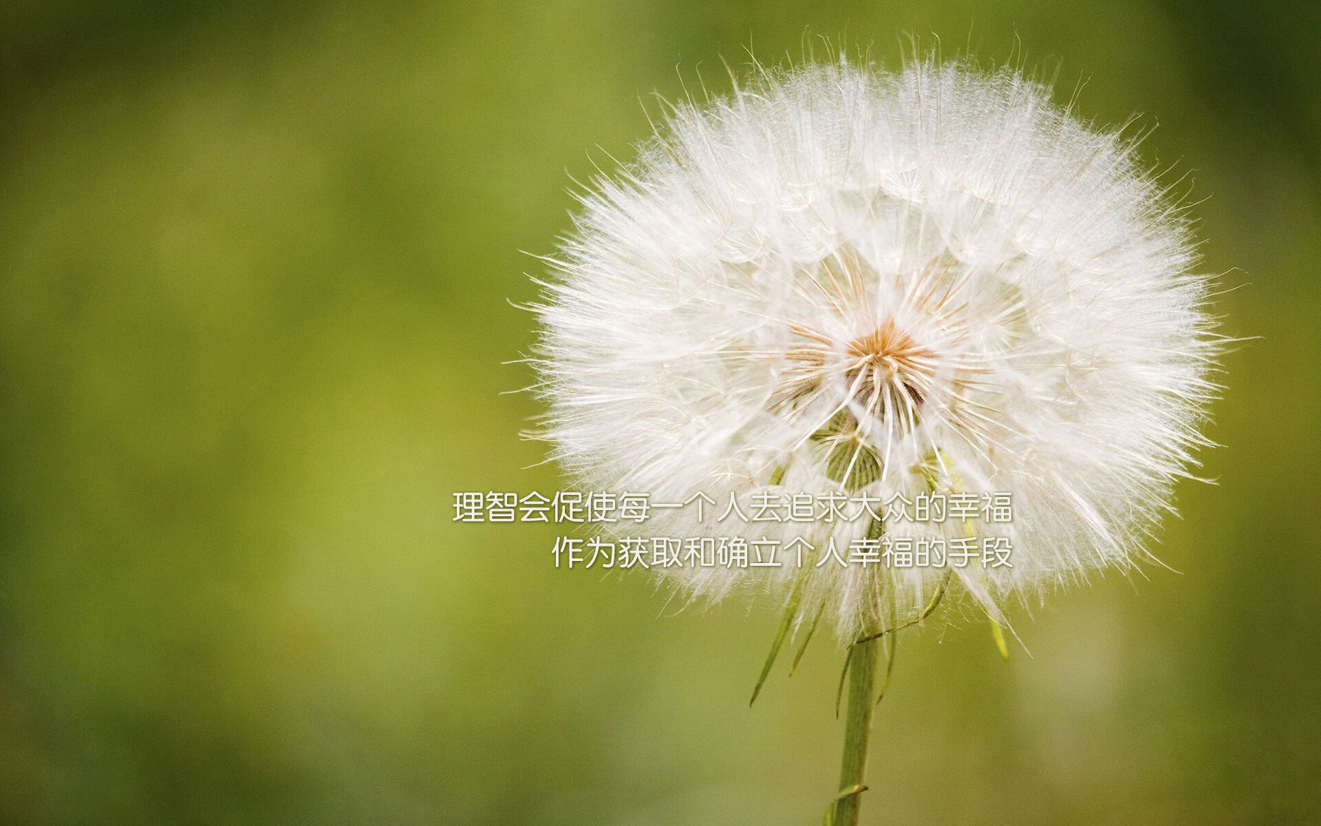 惊天大冷！霍勒迪导演吉林队掀翻热火