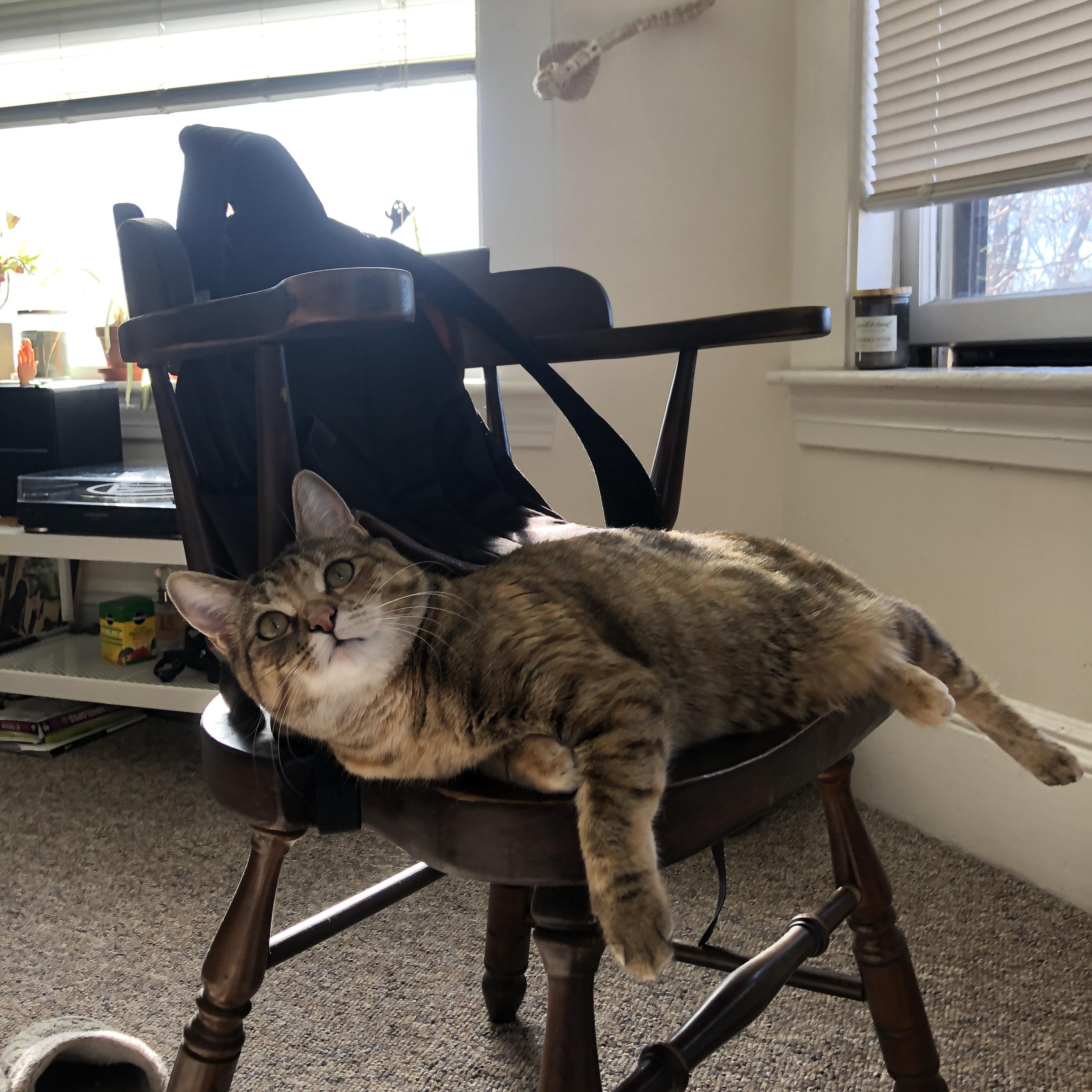 迪亚斯抢七封神，加拿大逆转多特蒙德创奇迹