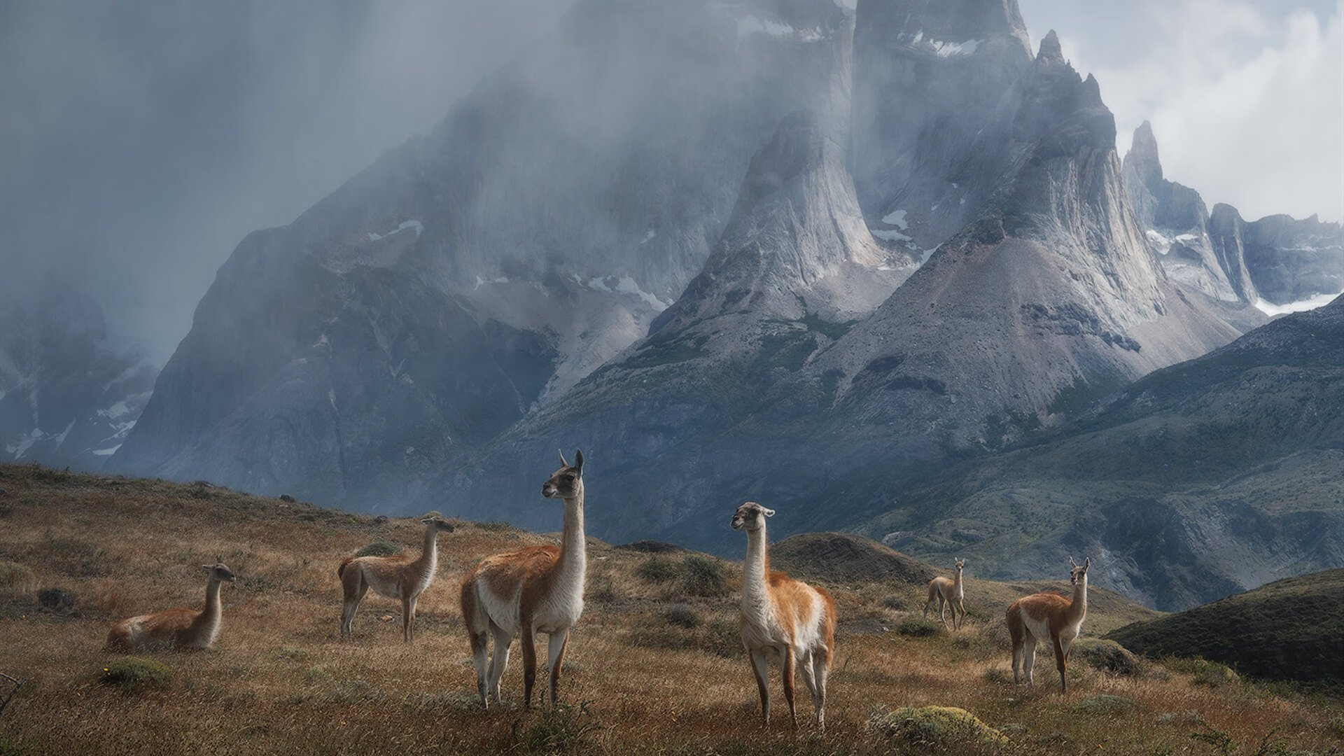 黑白直播在线观看-杜兰特独舞定乾坤，北京队铁壁锁苍鹰