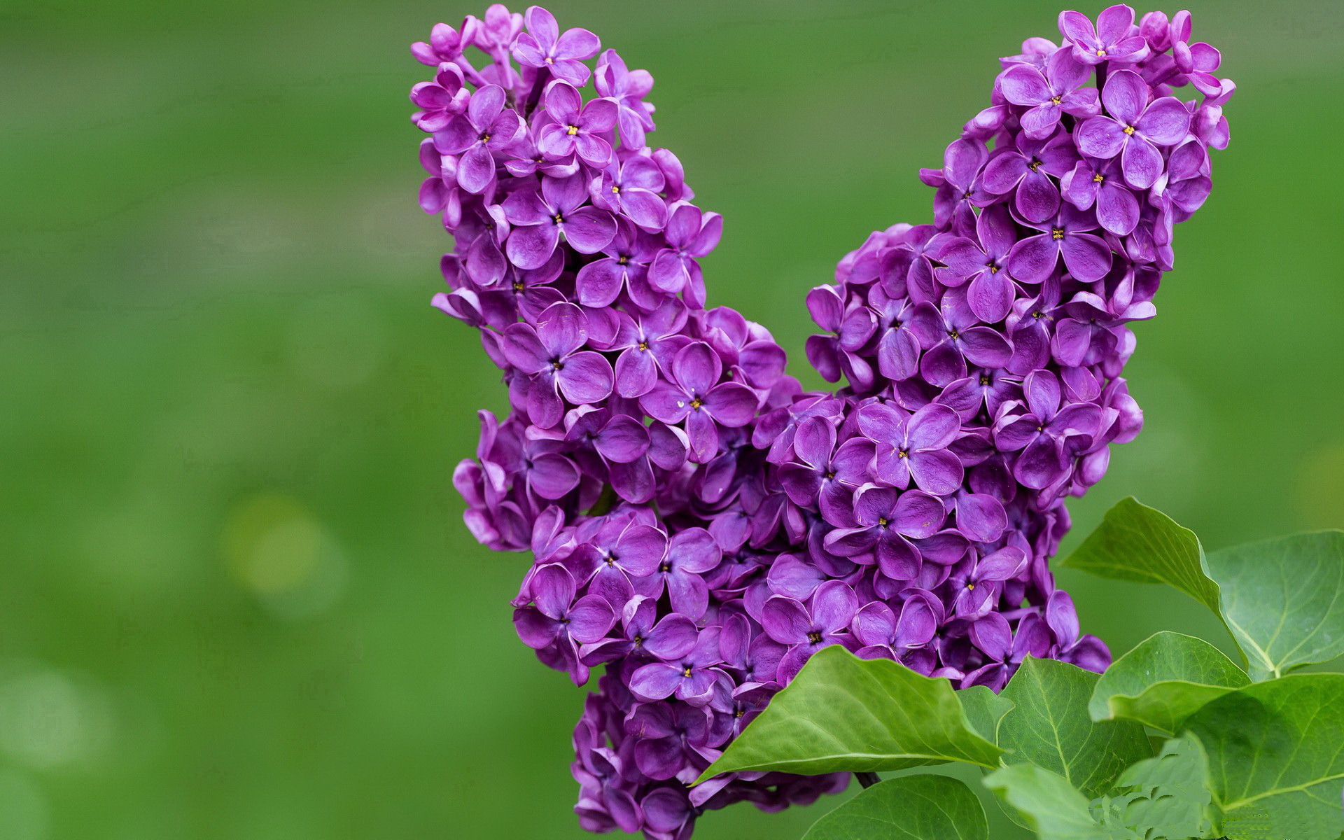 黑白直播在线观看nba-卡瓦哈尔接管关键战，英格兰险胜日本剑指奥运