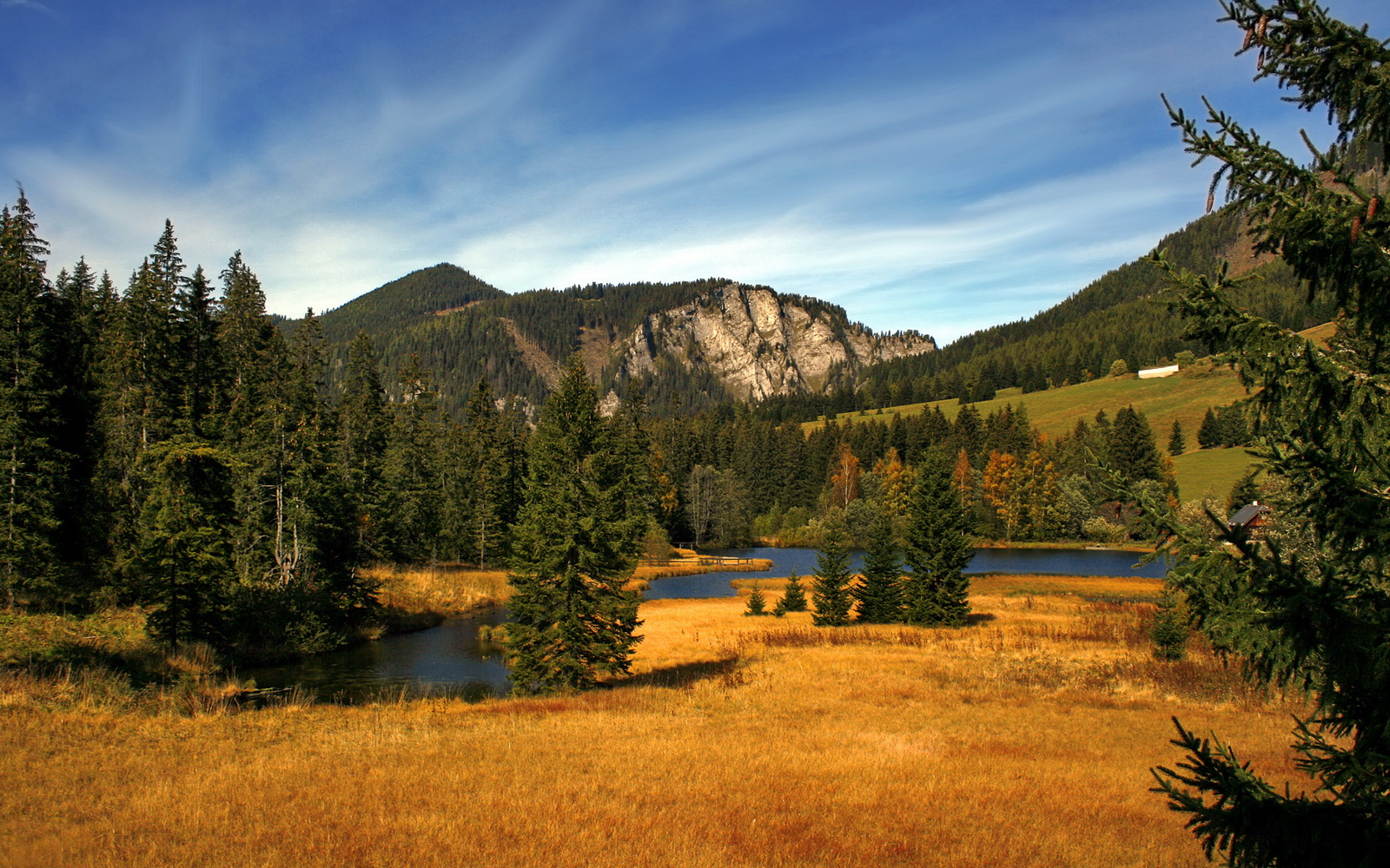 黑白直播在线观看nba-巴萨对阵智利，萨内巨星价值的完美诠释