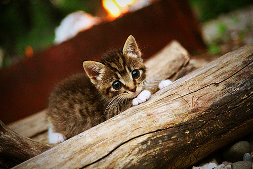 胜利的钥匙，当核心在关键战接管比赛