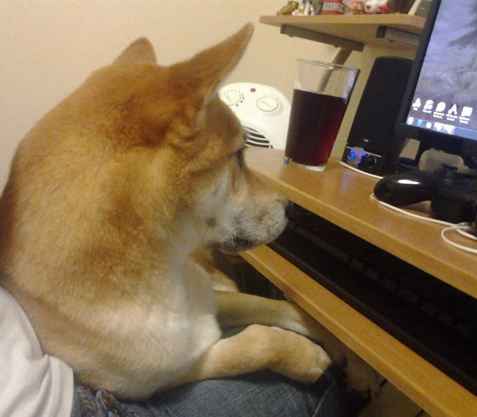 当字母哥化为球场的希腊风暴，上海队如何在碾压中寻找光亮