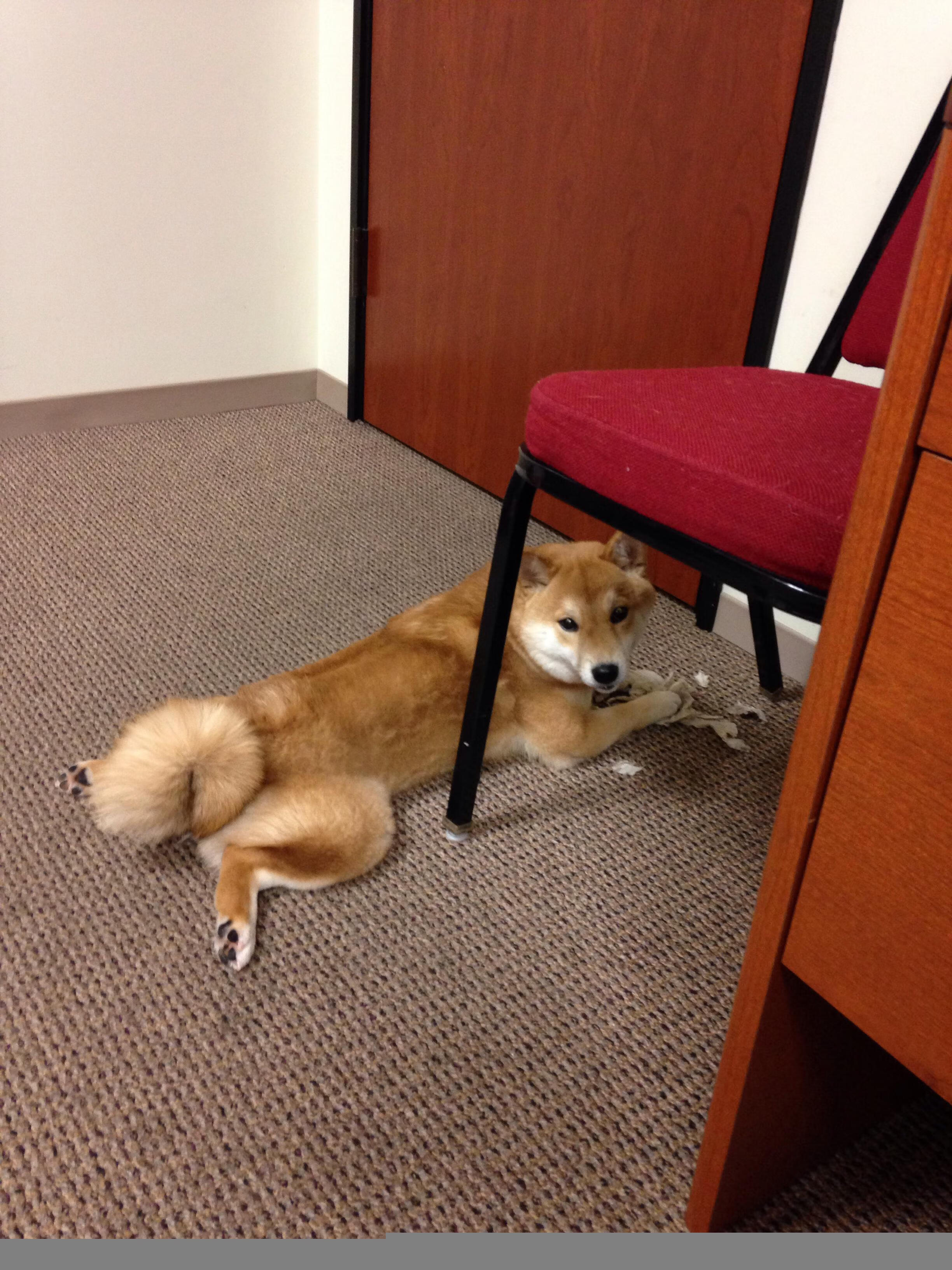 黑白直播网-绿茵博弈，当本泽马的锁链与拉齐奥的鏖战重写胜负法则