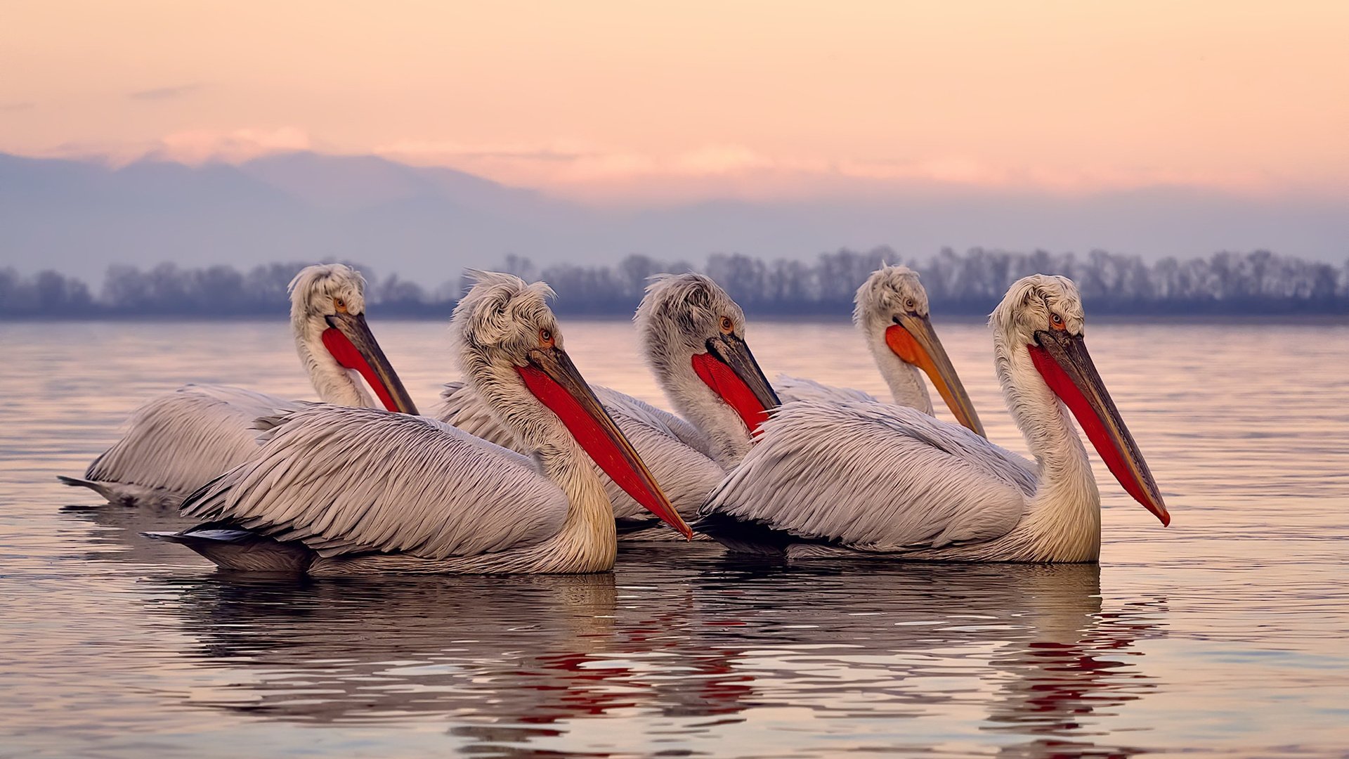 爱德华兹狂飙40分，76人鏖战北京队惊险取胜