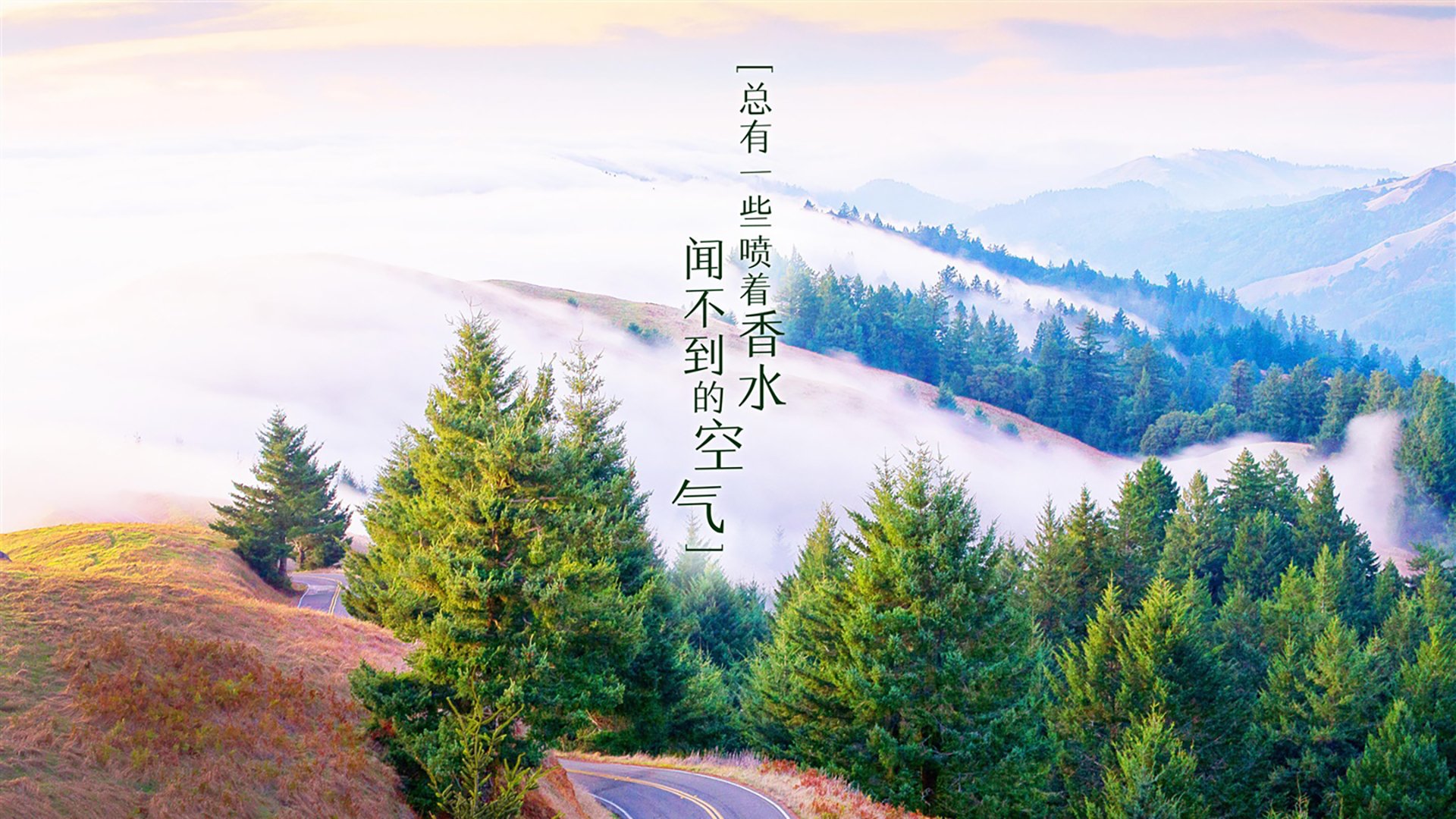 黑白直播在线观看nba-沉默的独白,抢七之夜里那个不闪光的决胜者
