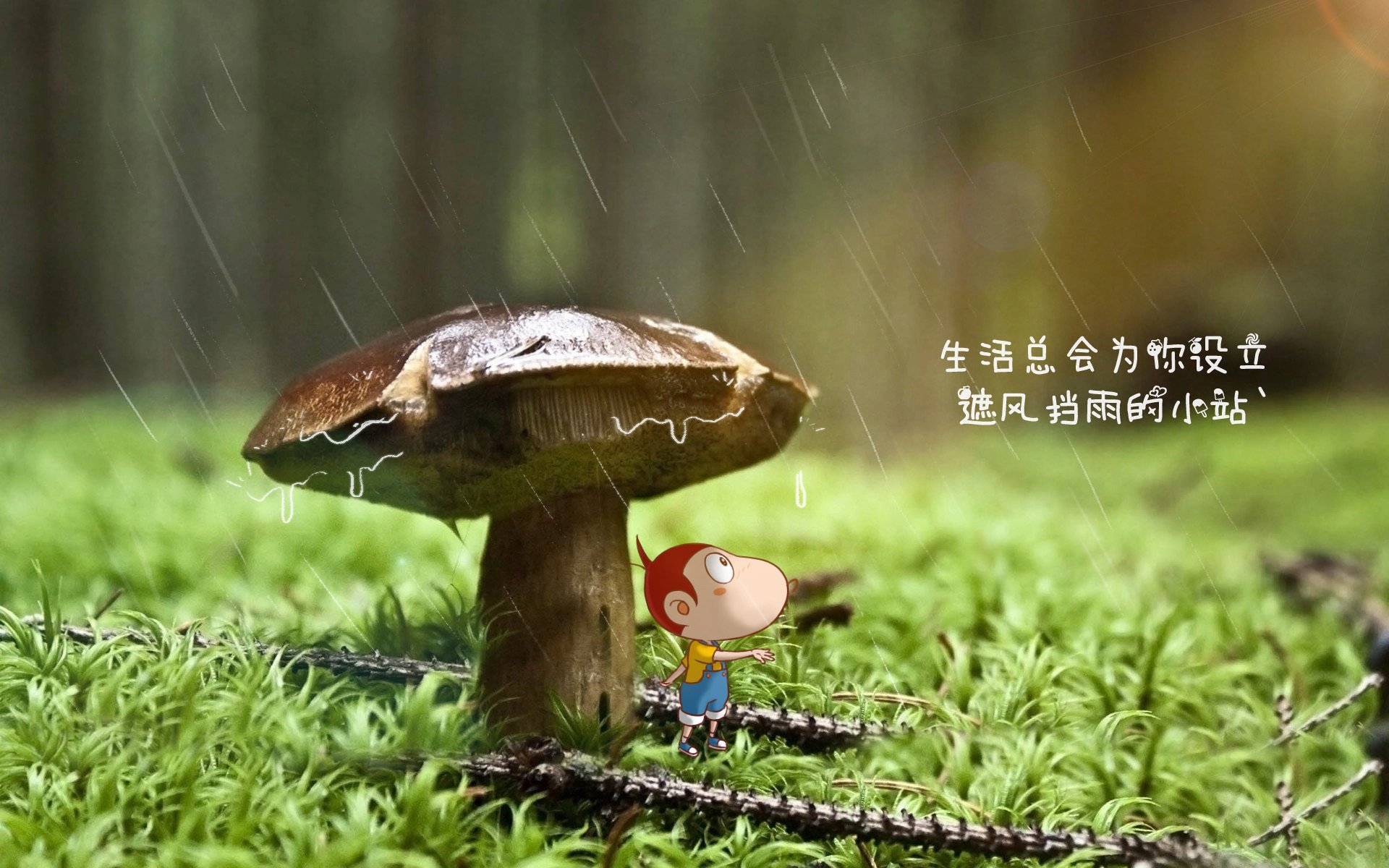黑白直播-高卢雄鸡技压群雄，努涅斯独舞闪耀—2026世界杯E组强强对话法国压制印度