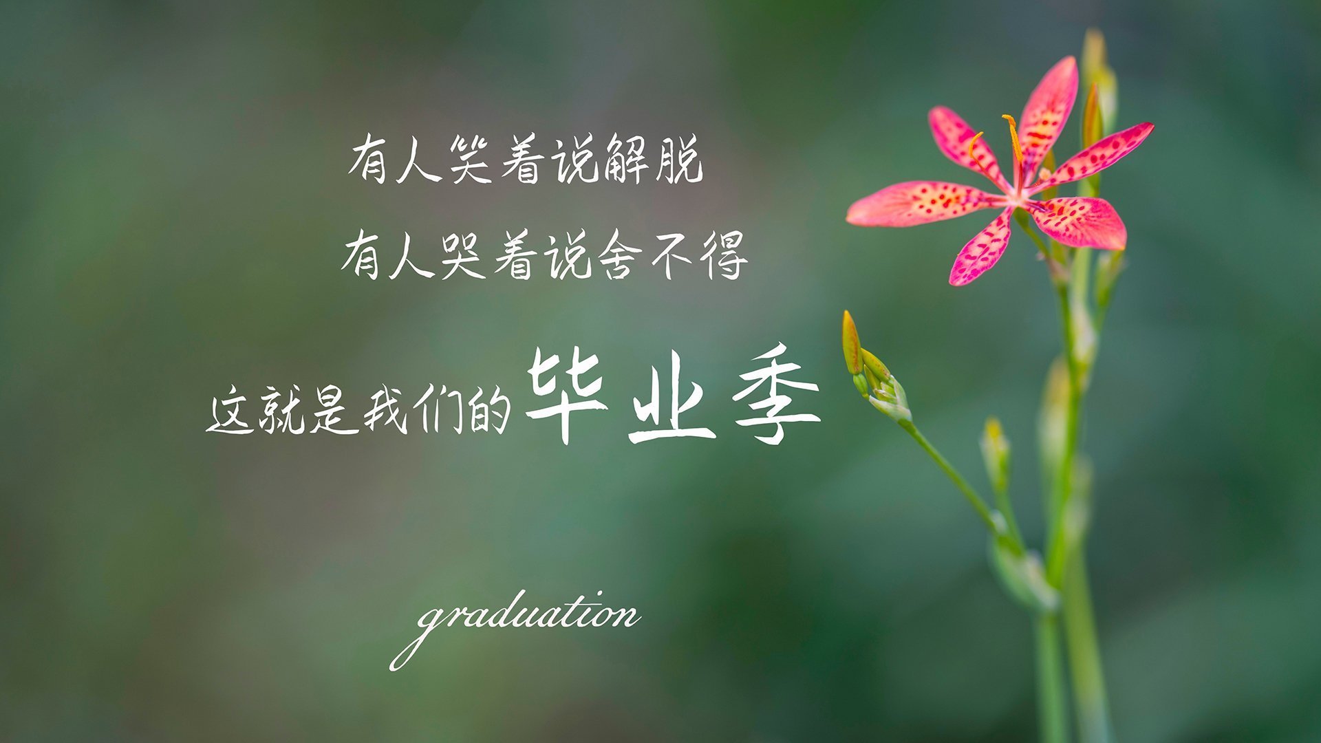 南美劲旅惊险突围,乌拉圭补时绝杀哥斯达黎加,姆巴佩闪耀全场却遗憾离场